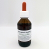 FRAXINUS EXCELSIOR MG – Erboristeria Angelini – 100 ml